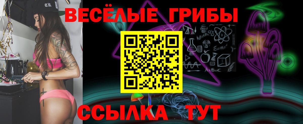 где купить наркоту  Вход с VPN  Сальск  Галлюциногенные грибы Cubensis 